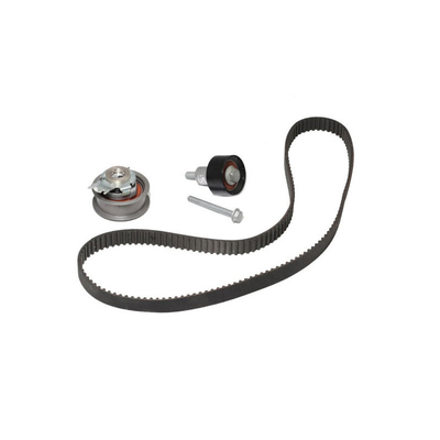 21SKV004 Doel van vervanging/reparatie Motor Timing Chain Belt Kit Voor VW Audi 04E198119A