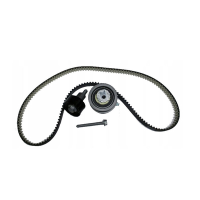 21SKV004 Doel van vervanging/reparatie Motor Timing Chain Belt Kit Voor VW Audi 04E198119A