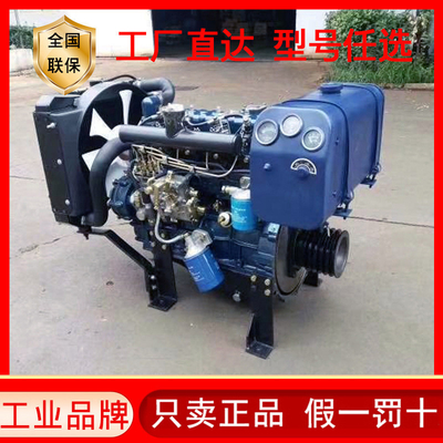 Blauw/Zwarte Dieselmotoren, perfect voor vervanging/reparatie
